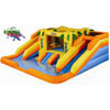Inflatable Water Slides